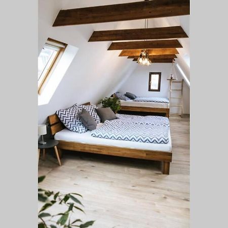 The Cozy Studio Apartment Lauf Lauf an der Pegnitz Buitenkant foto