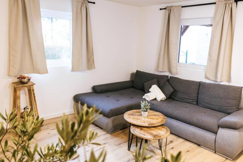 The Cozy Studio Apartment Lauf Lauf an der Pegnitz Buitenkant foto